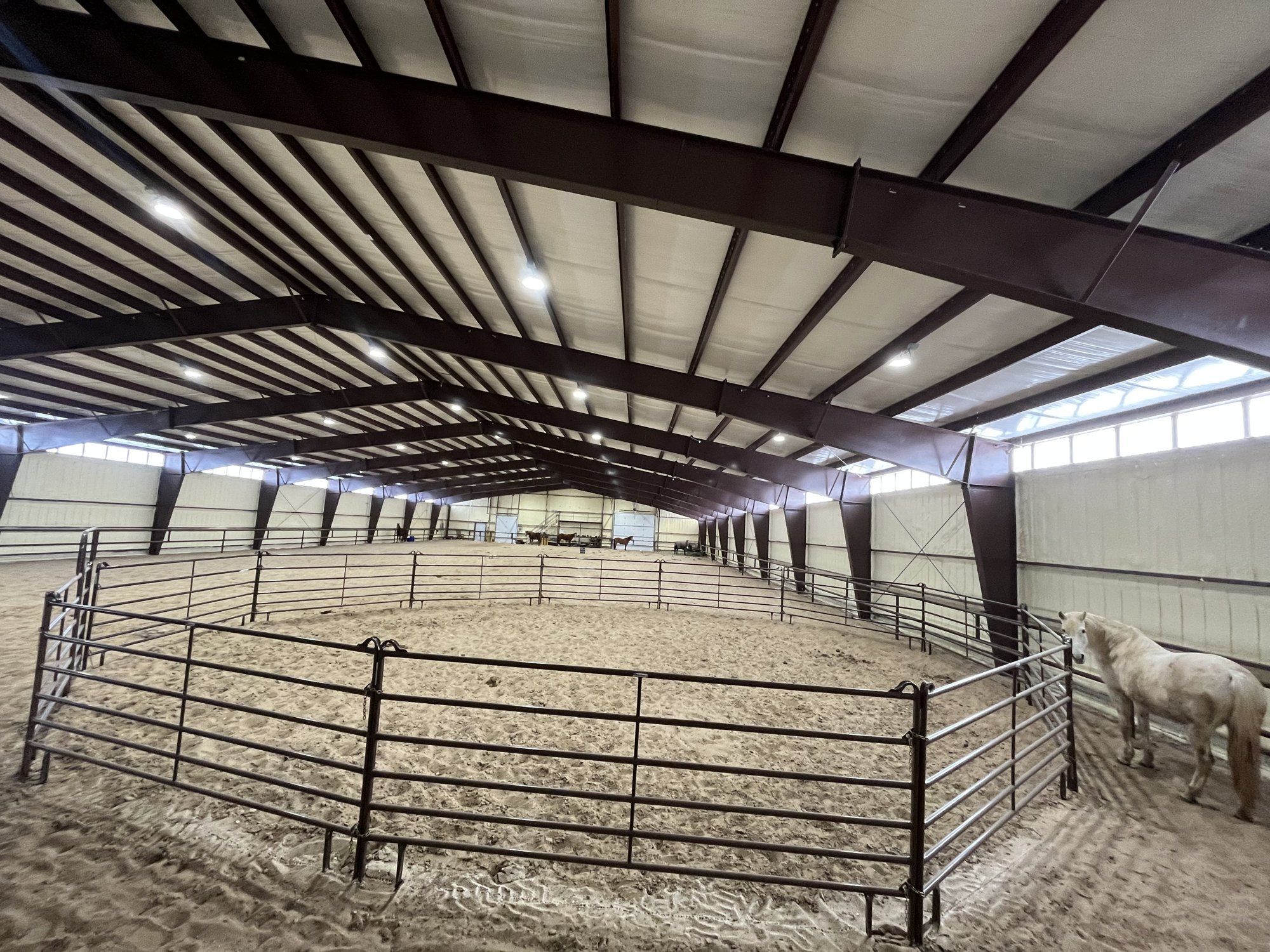 Indoor arena with round pen at Daisy's Stables