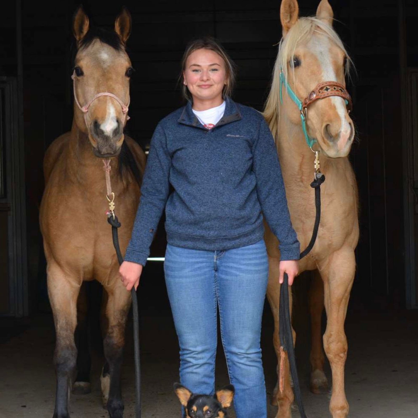 Katie Morrison standing between two horses with her dog